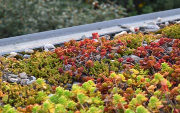 the cost of Pit green roof installation