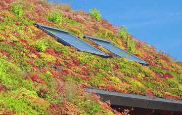 Pit living roof systems