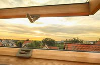 rated Pit roof window companies
